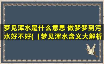 梦见浑水是什么意思 做梦梦到污水好不好(【梦见浑水含义大解析！】梦到污水是什么预兆？解读梦境中浑浊水流的象征！)